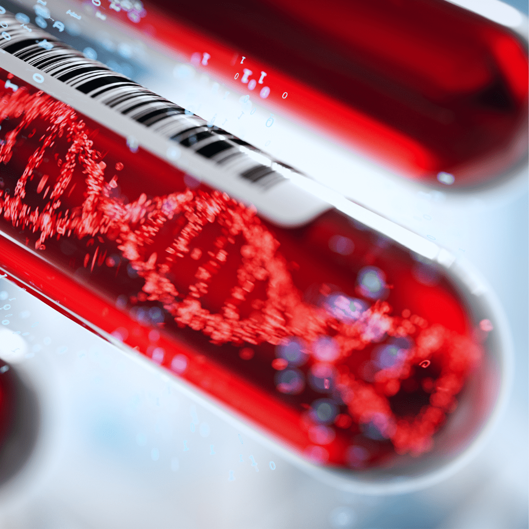 Understanding Your Blood Test Results - Imulab